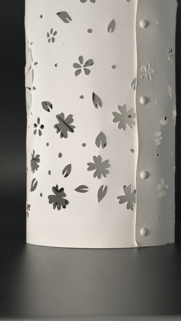Wagasa Model in video