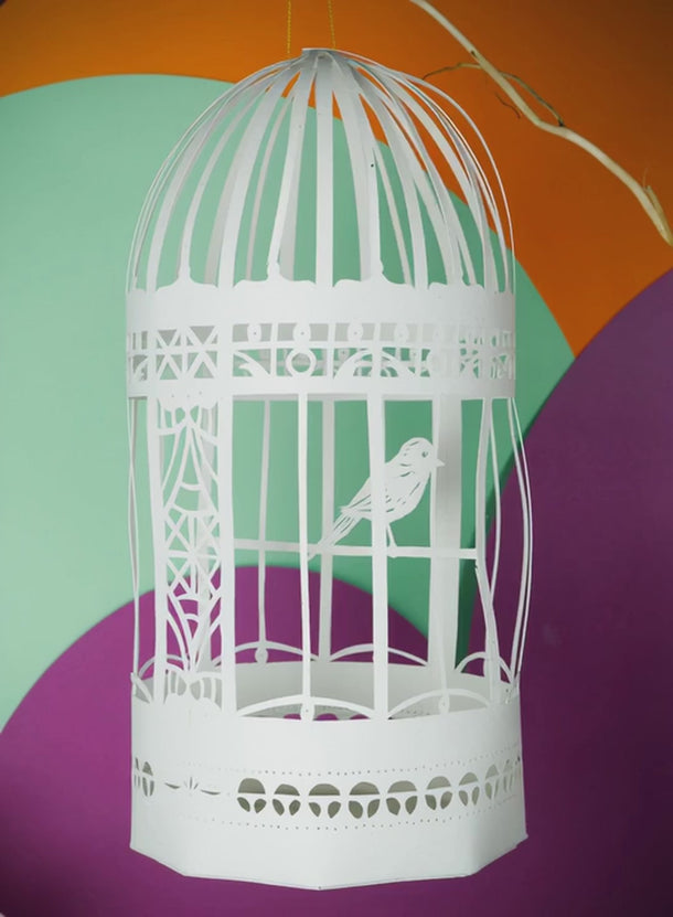 Model Birdcage animated with AI